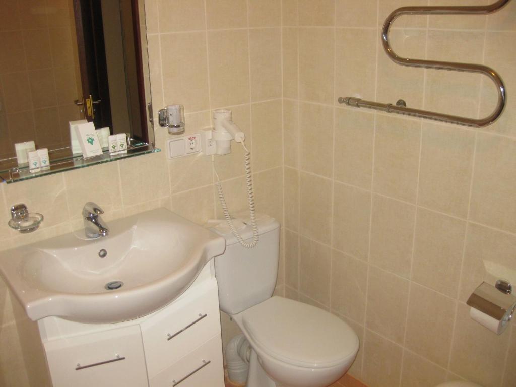 Hotel Complex Zelenyi Gai Kopatsjuvka Rom bilde